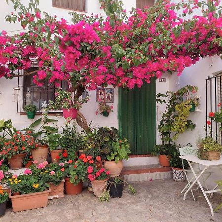 La Buganvilla De Juana Y Antonio Касарес Экстерьер фото