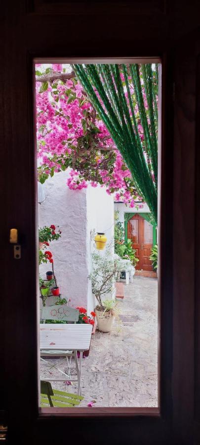 La Buganvilla De Juana Y Antonio Касарес Экстерьер фото